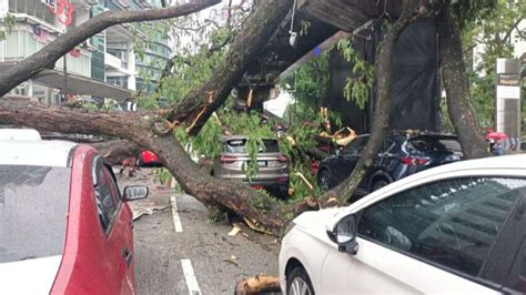 Pokok Tumbang KL 5 BM Paul Tan S Automotive News