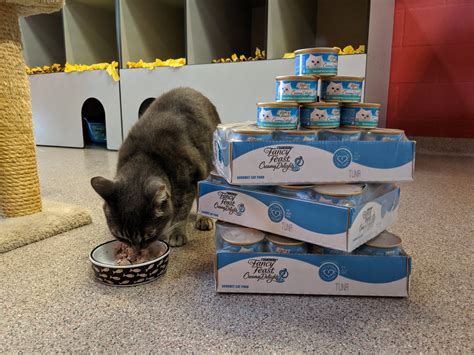 Cat Depot - Home | Facebook