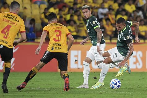 Saiba onde assistir AO VIVO à partida entre Palmeiras x Barcelona EQU