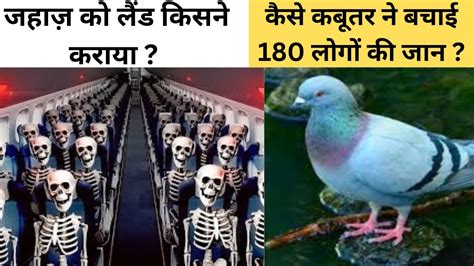 जहाज़ को लैंड किसने कराया कैसे कबूतर ने बचाई 180 लोगों की जान Jahaz