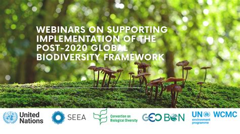 Webinars On Supporting Implementation Of The Post 2020 Global Biodiversity Framework System Of