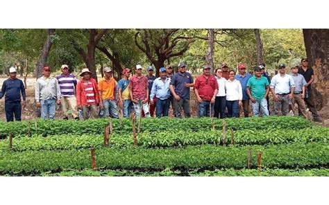 Familias Inauguran Vivero Forestal En Juigalpa