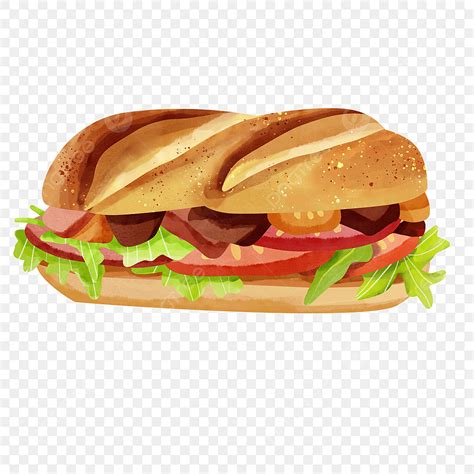 Sandwich Delicioso Pan Francés Vietnamita Acuarela PNG dibujos Vietnam