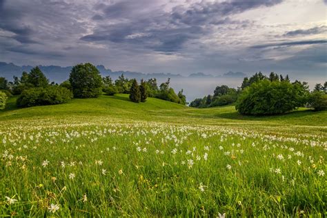 The Italian Village Of Borgo Valbelluna Belluno In Veneto Italy E