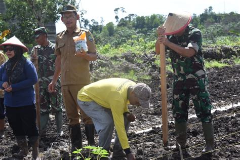 Bersiap Jadi Penyangga Pangan Ikn Dan Kipi Narahubungid