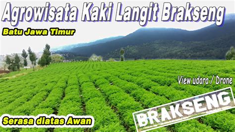 Brakseng Batu Sumber Brantas Terbaru Serasa Diatas Awan Agrowisata