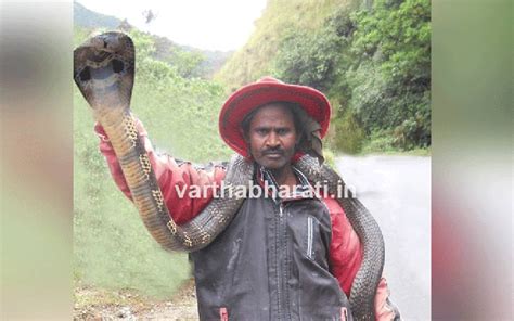 Famous Snake Catcher In Chikkamagaluru Dies After Being Bitten By Cobra