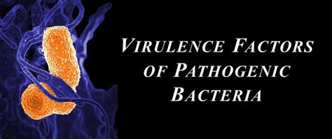 Virulence Factors Of Pathogenic Bacteria Pathology Microbiology And