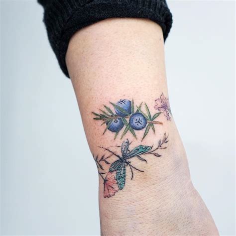 Juniper berries tattoo by tattooist picsola - Tattoogrid.net