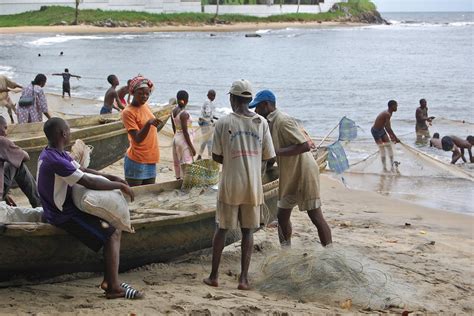 As A Megaport Rises In Cameroon A Delicate Coastal Ecosystem Ebbs