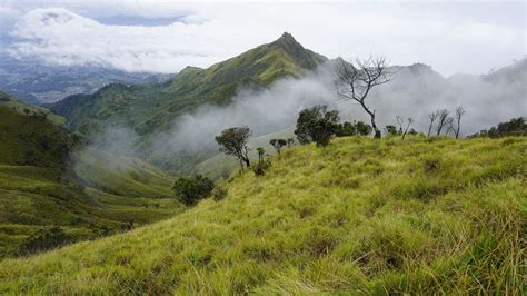 Ecotourism Destination | Gunung Merbabu National Park