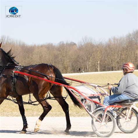 business loans horse float finance  abn holders