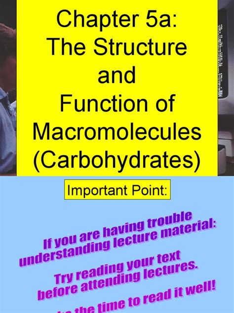 Carbohydrate | PDF | Macromolecules | Carbohydrates