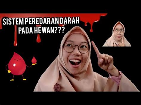 IPA LEVEL 5 SISTEM PEREDARAN DARAH HEWAN YouTube