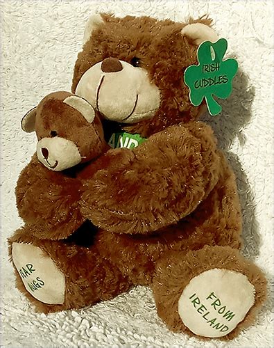 Irish Teddy Bear Cub