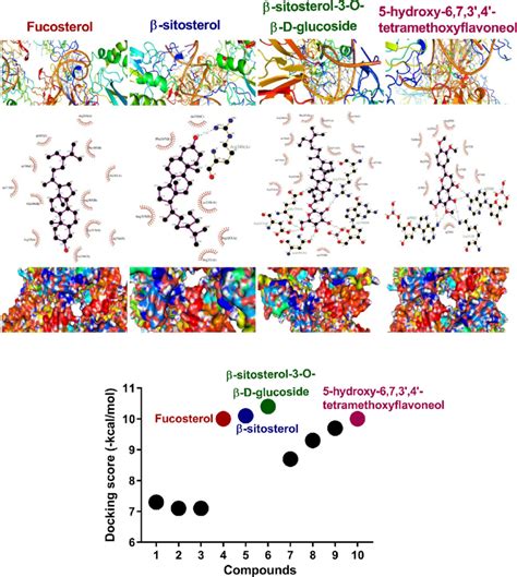 Molecular Docking Models Of The Compounds 4 5 6 And 10 Isolated From