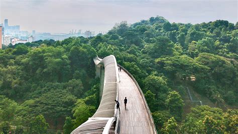 Henderson Waves At Telok Blangah Hill Park