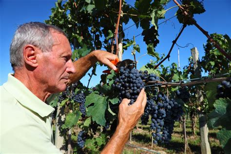 De Florence découverte des vins du Chianti et dégustation GetYourGuide