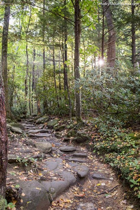 Rainbow Falls Trail To Mount LeConte Rainbow Falls Trail Rainbow