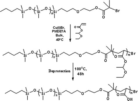 Synthesis Of Pdms B Paa Diblock Copolymers Chembiodraw14 Download Scientific Diagram