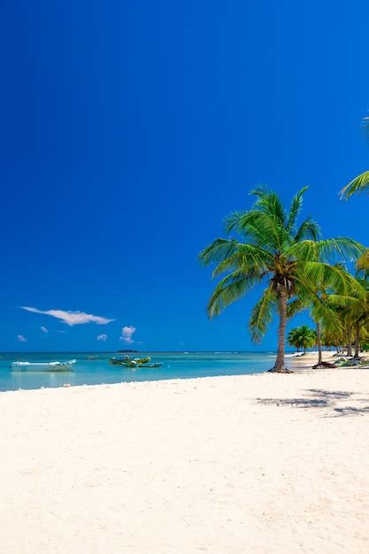 Premium Photo Beautiful Beach View Of Nice Tropical Beach With Palms