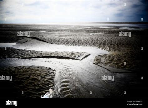 Bay Of Somme At Low Tide Le Hourdel Cayeux Sur Mer Somme Hauts De