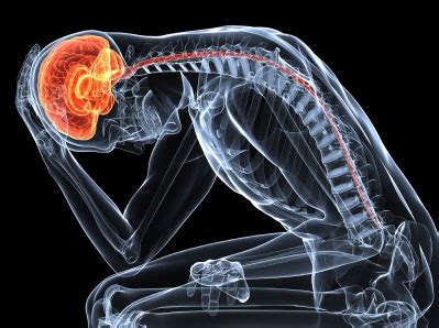 The brain-pain connection - Ausmed