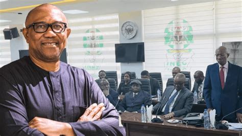 Full Squad Names Of Powerful Lawyers Backing Peter Obi Against Tinubu