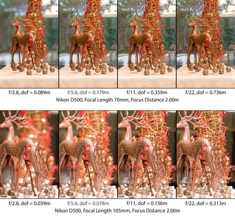 Understanding Depth Of Field A Beginner S Guide Photo Tips For