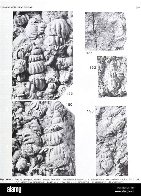 Bulletin Of The British Museum Natural History Geology 1990