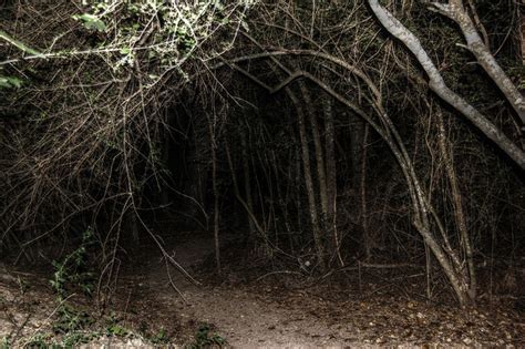 Haunted Hikes Through The Oglebay Woods Oct 22