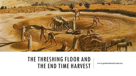 Location Of The Threshing Floor Araunah Jebusite Two Birds Home