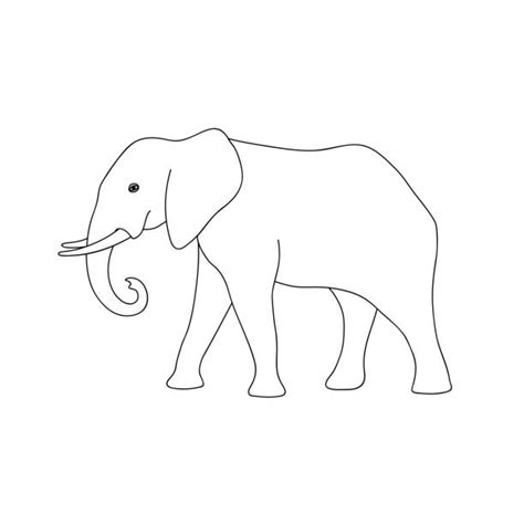 Elefant Ausmalbild Illustrationen Und Vektorgrafiken Istock