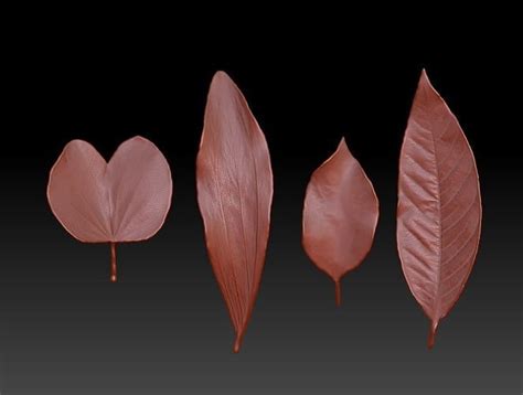 3d Printed Leaf Stl 3d Printed Leaf Stl 3d Model 3d Printable Cgtrader