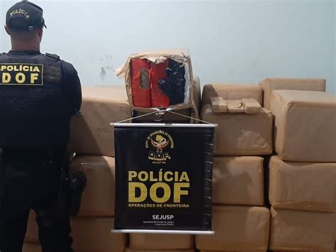 Polícia estoura entreposto e apreende quase 1t de maconha Dourados News