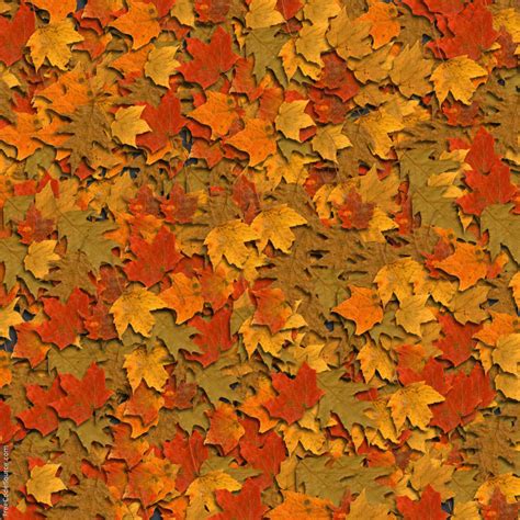 Fall Colors Backgrounds - Wallpaper Cave