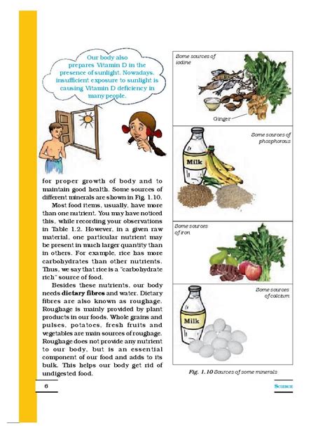 NCERT Book Class 6 Science Chapter 1 Components Of Food 2024 25 Session