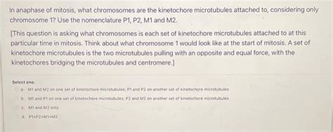 In anaphase of mitosis, what chromosomes are the | Chegg.com