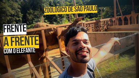 Como é O Zoológico De São Paulo Youtube