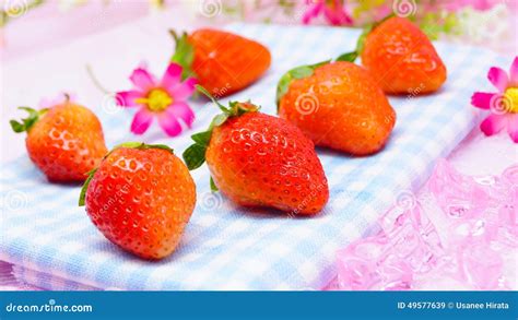 Fresh Japanese Strawberries Stock Image Image Of Dessert Breakfast