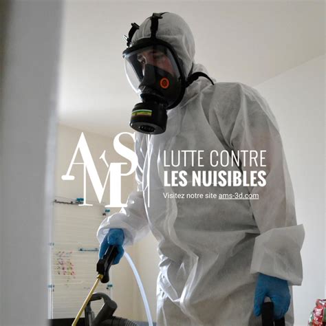 Expert Anti Nuisibles dératisation désinsectisation désinfection AMS