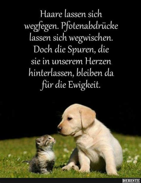 66 besten Sprüche für Tierfreunde Bilder auf Pinterest Der mensch