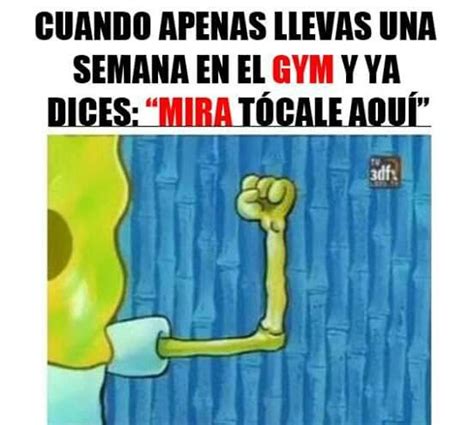 Pin De Jessica Andand En Humor Humor De Gimnasio Cosas Para Reir Memes