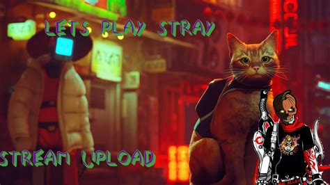 LETS PLAY STRAY YouTube