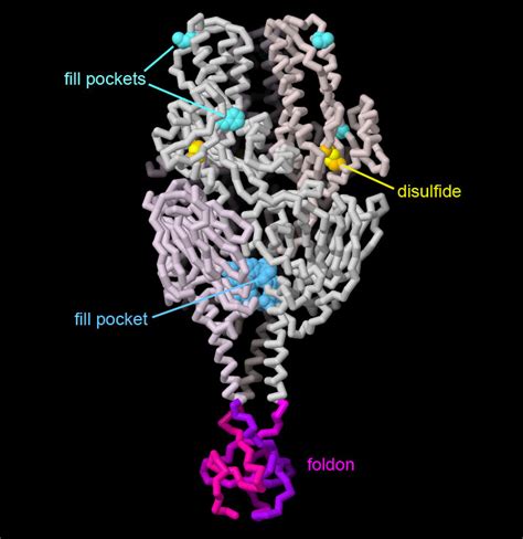 PDB 101 Molecule Of The Month RSV Fusion Glycoprotein