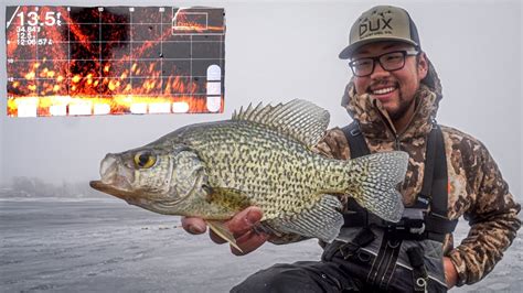 Ice Fishing Mega Schools Of Big Crappies Underwater Livescope Footage