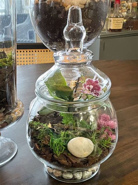 Turn A Jar Into A DIY Terrarium - A Life Unfolding