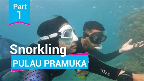 Snorkling Di Pulau Pramuka Kepulauan Seribu I Part 01 YouTube