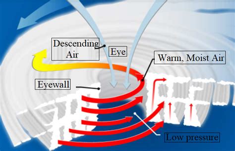 Draw a welllabelled diagram explaining the formation of a cyclone