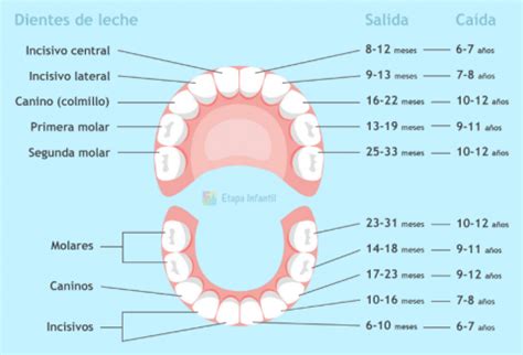 ODONTOPEDIATRÍA Clinica Dental Font Rosa Museros